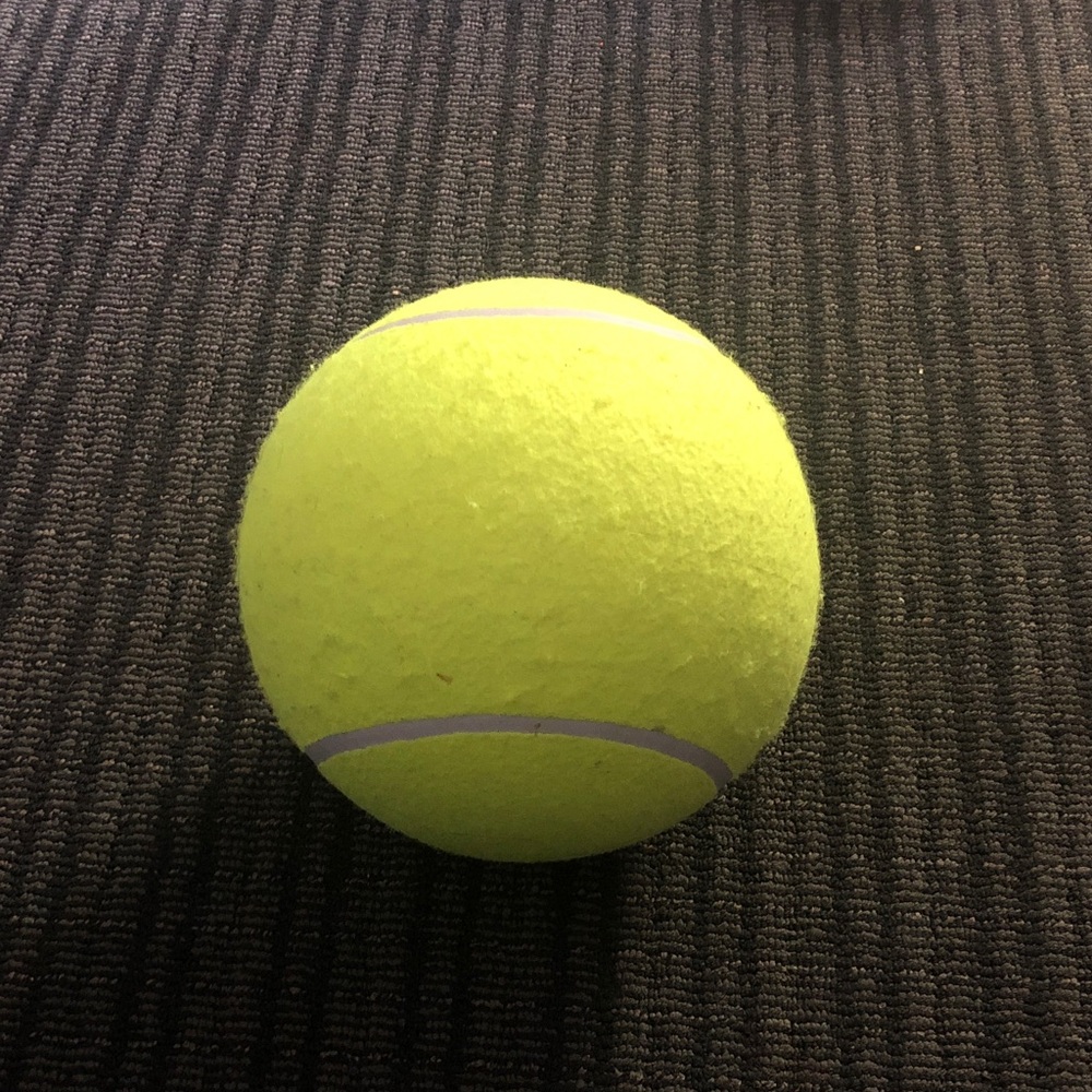 🏋️‍♂️ Huge Tennis Ball for Dogs